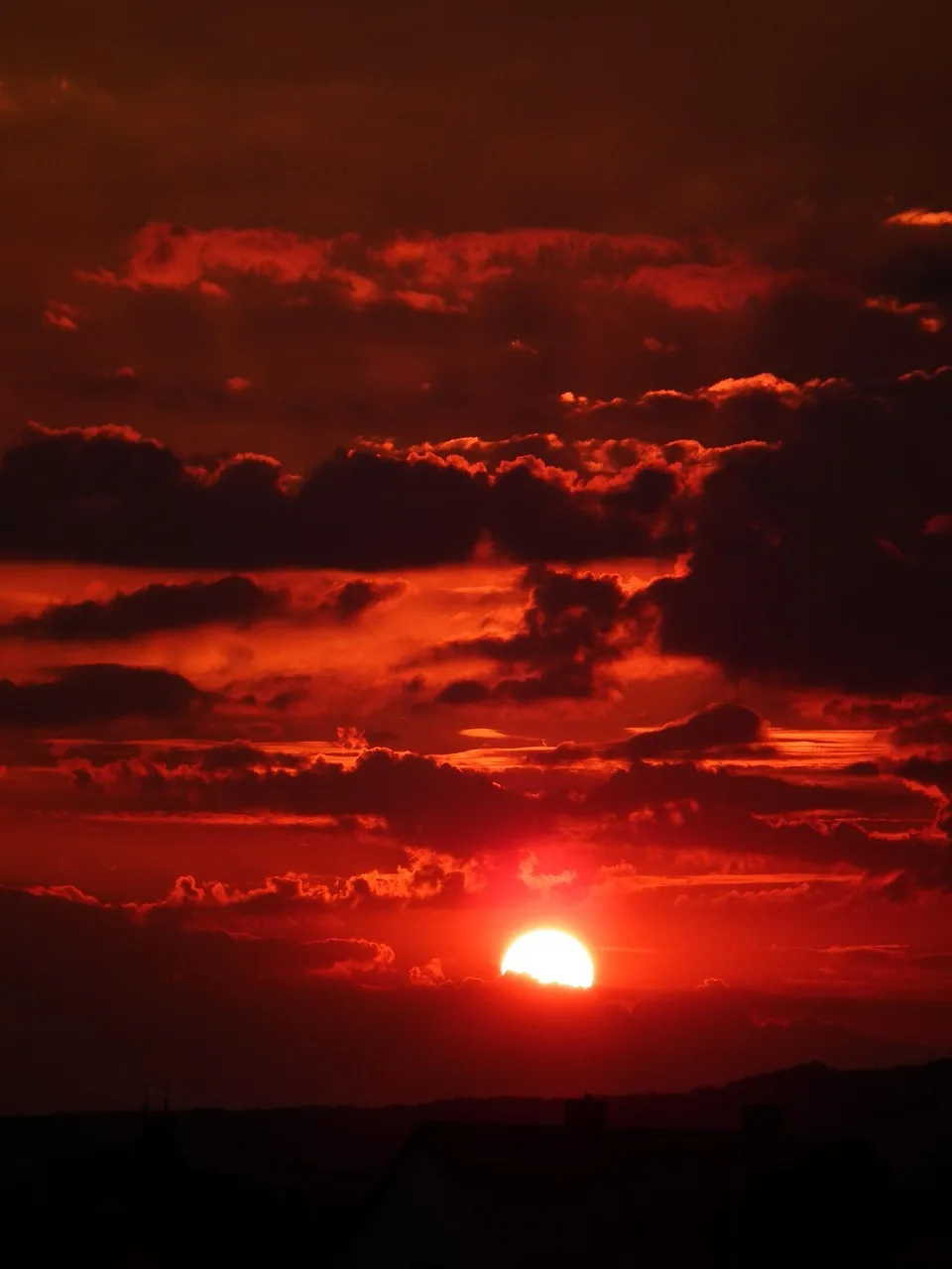 sol, himmel, solnedgång, solljus, skymning, röd himmel, natur, setting sun, landskap, skyskrapor, moln